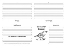 Drossel-Faltbuch-vierseitig.pdf